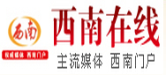 西南新聞在線網