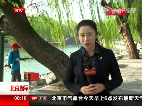 市屬公園啟動(dòng)楊柳飛絮治理截圖