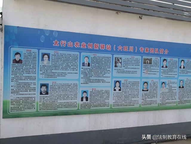 大山作證 縣領導攜生態農業企業為柴雞蛋正名