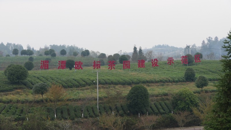 “碳?xì)錈o憂進(jìn)千縣 安全食品進(jìn)萬家”在貴州凱里啟動(dòng)