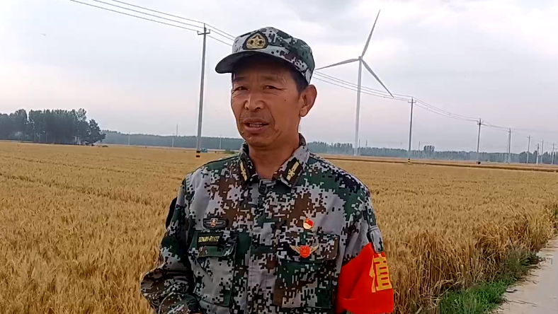 搶夏收麥歸倉  好政策水入田—記山東德州寧津縣王吏目村小農水工程